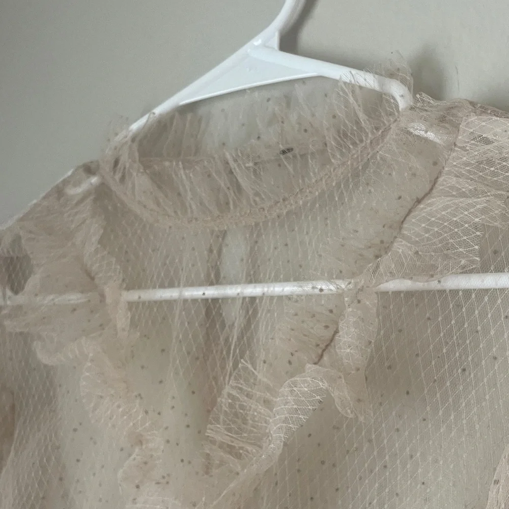 Chic Ruffled Sheer Blouse - Picture 2 of 4